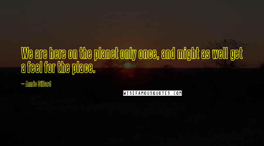 Annie Dillard Quotes: We are here on the planet only once, and might as well get a feel for the place.