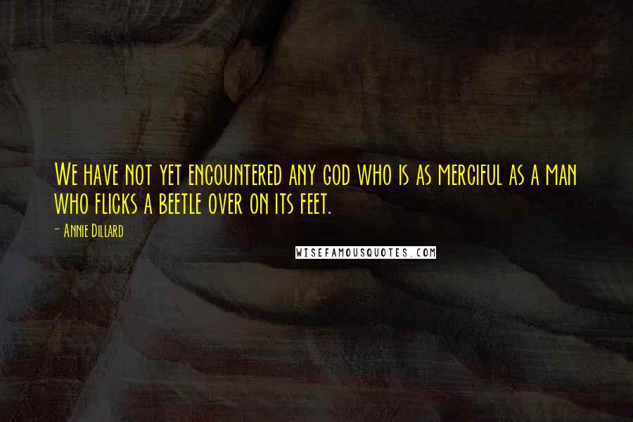Annie Dillard Quotes: We have not yet encountered any god who is as merciful as a man who flicks a beetle over on its feet.