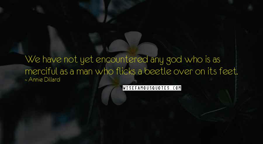 Annie Dillard Quotes: We have not yet encountered any god who is as merciful as a man who flicks a beetle over on its feet.