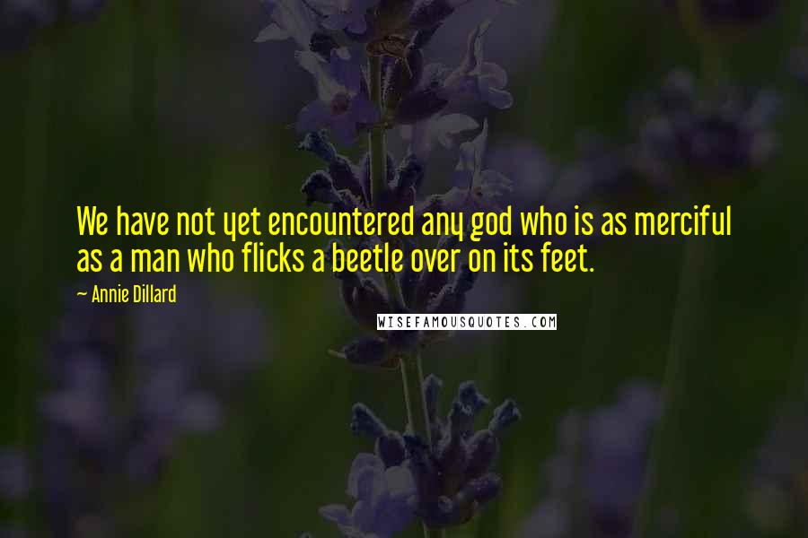 Annie Dillard Quotes: We have not yet encountered any god who is as merciful as a man who flicks a beetle over on its feet.