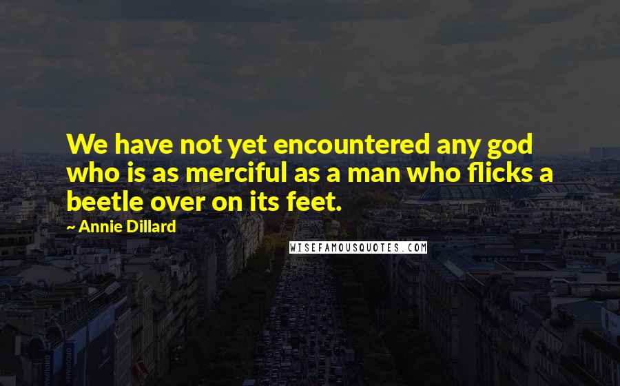 Annie Dillard Quotes: We have not yet encountered any god who is as merciful as a man who flicks a beetle over on its feet.
