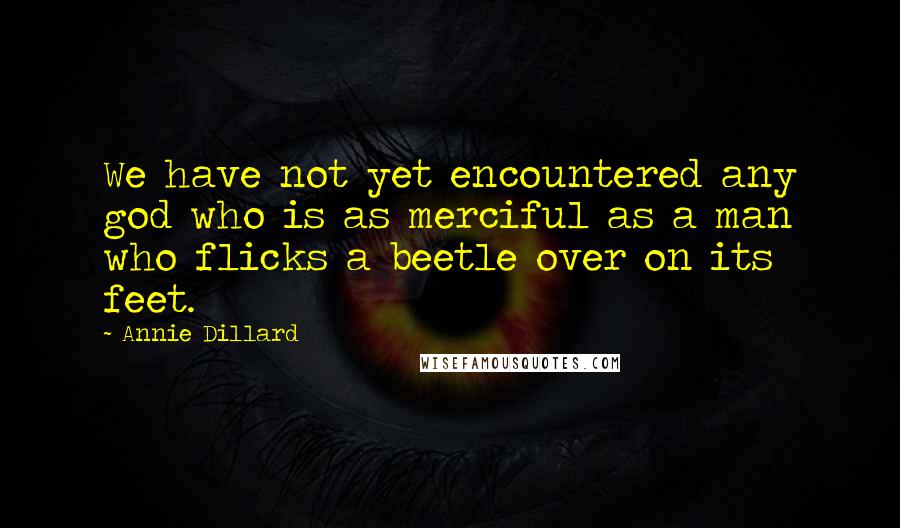 Annie Dillard Quotes: We have not yet encountered any god who is as merciful as a man who flicks a beetle over on its feet.