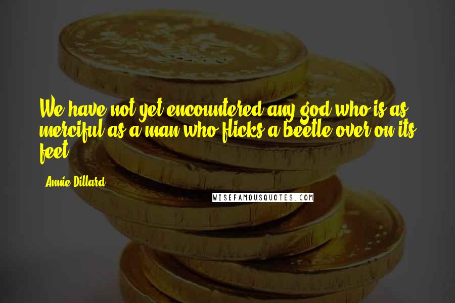 Annie Dillard Quotes: We have not yet encountered any god who is as merciful as a man who flicks a beetle over on its feet.