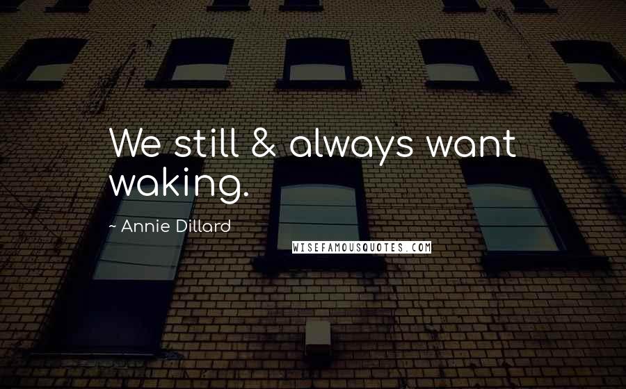 Annie Dillard Quotes: We still & always want waking.