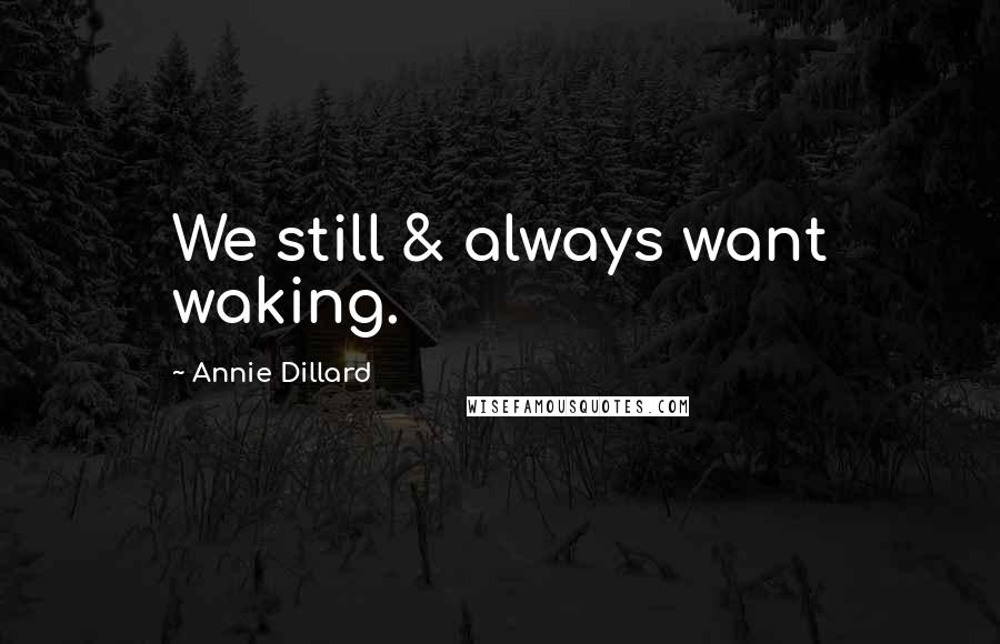 Annie Dillard Quotes: We still & always want waking.