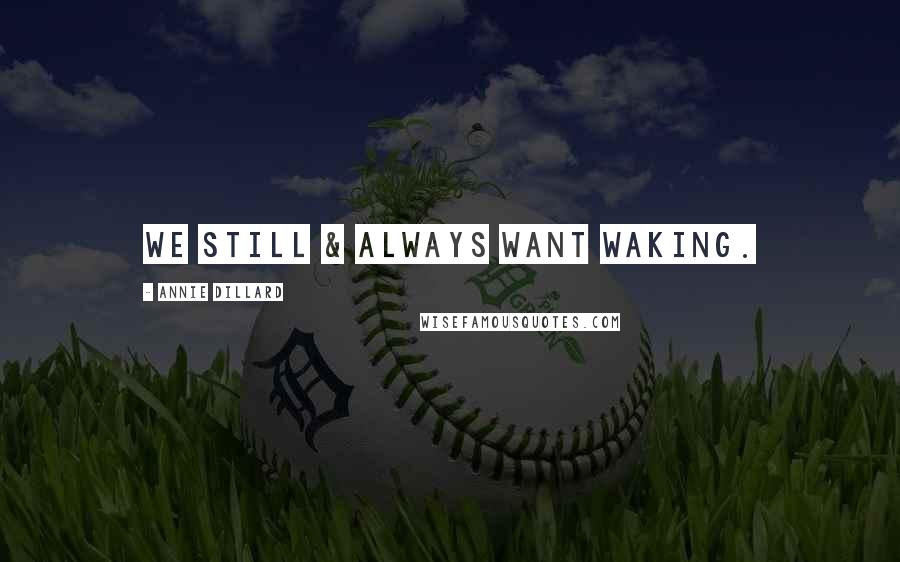 Annie Dillard Quotes: We still & always want waking.