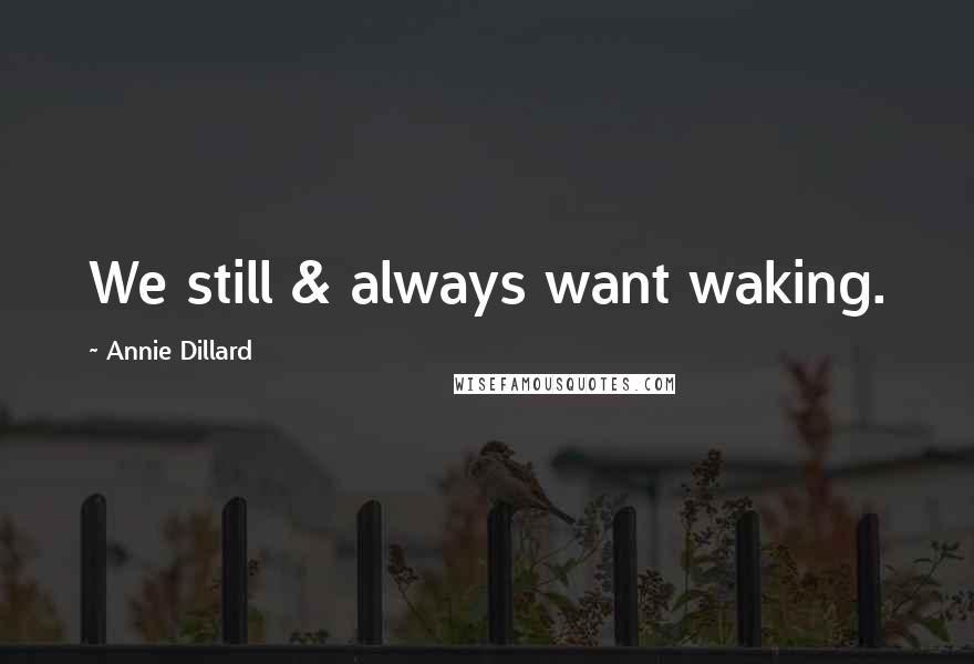 Annie Dillard Quotes: We still & always want waking.