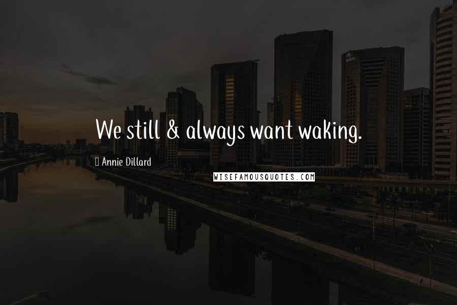 Annie Dillard Quotes: We still & always want waking.