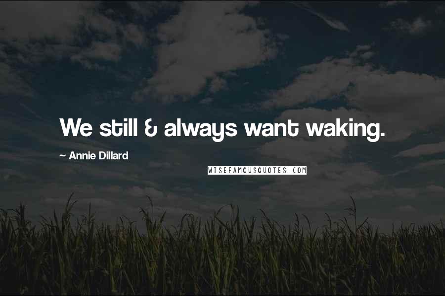Annie Dillard Quotes: We still & always want waking.