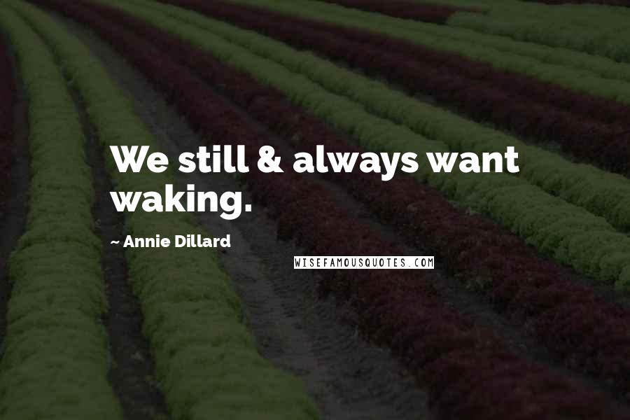 Annie Dillard Quotes: We still & always want waking.