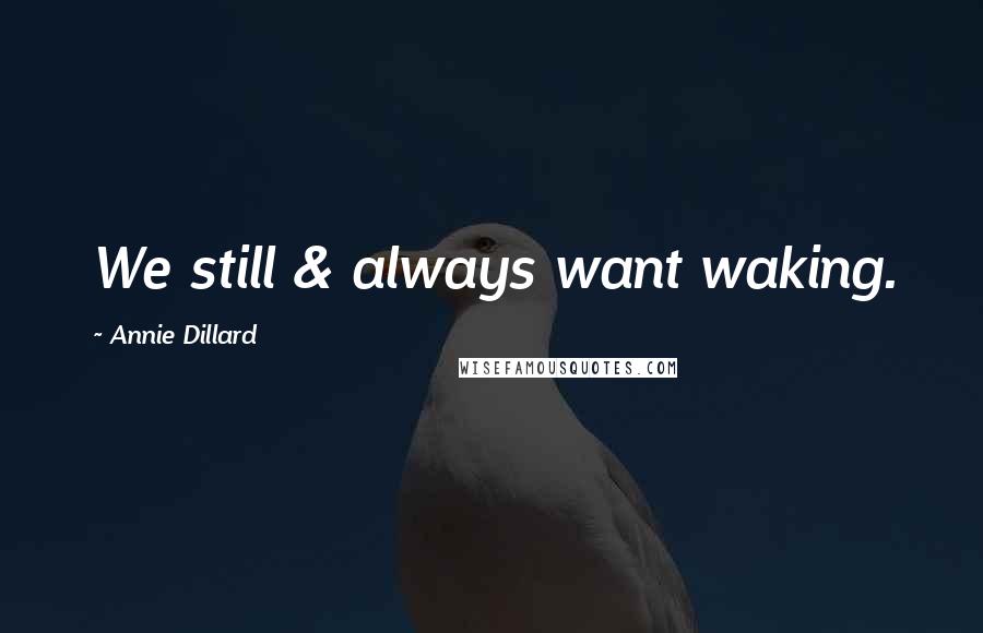 Annie Dillard Quotes: We still & always want waking.