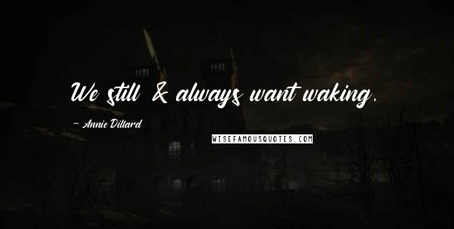 Annie Dillard Quotes: We still & always want waking.