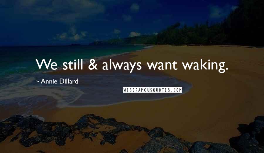 Annie Dillard Quotes: We still & always want waking.