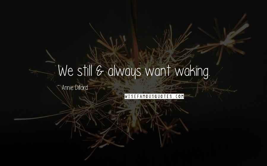 Annie Dillard Quotes: We still & always want waking.