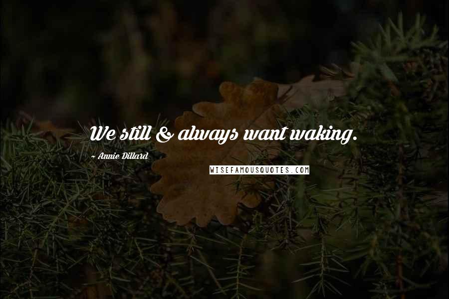 Annie Dillard Quotes: We still & always want waking.