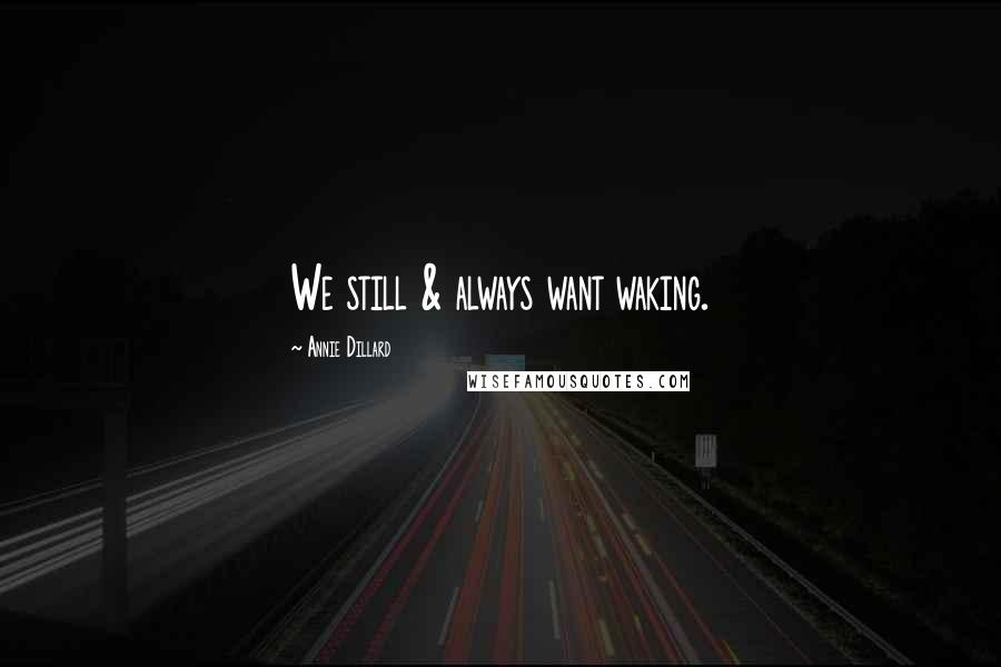 Annie Dillard Quotes: We still & always want waking.