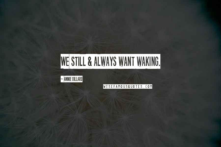 Annie Dillard Quotes: We still & always want waking.