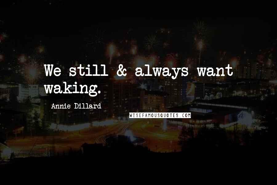 Annie Dillard Quotes: We still & always want waking.