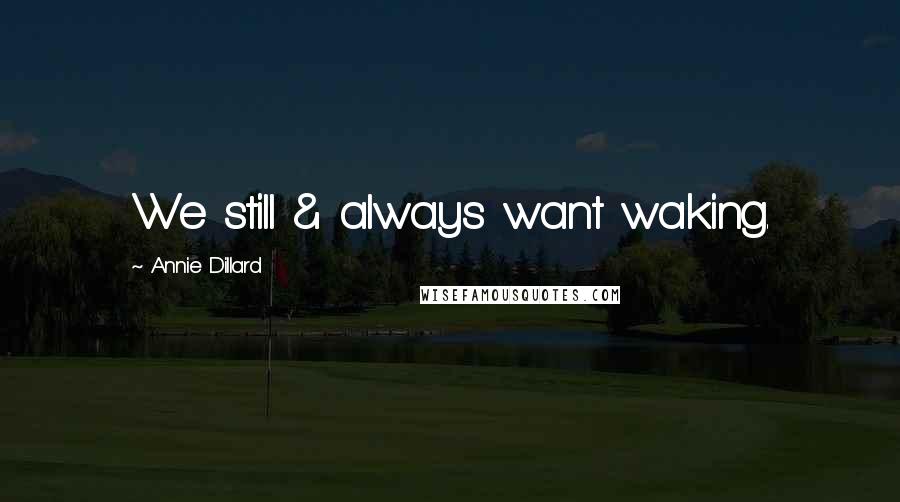 Annie Dillard Quotes: We still & always want waking.