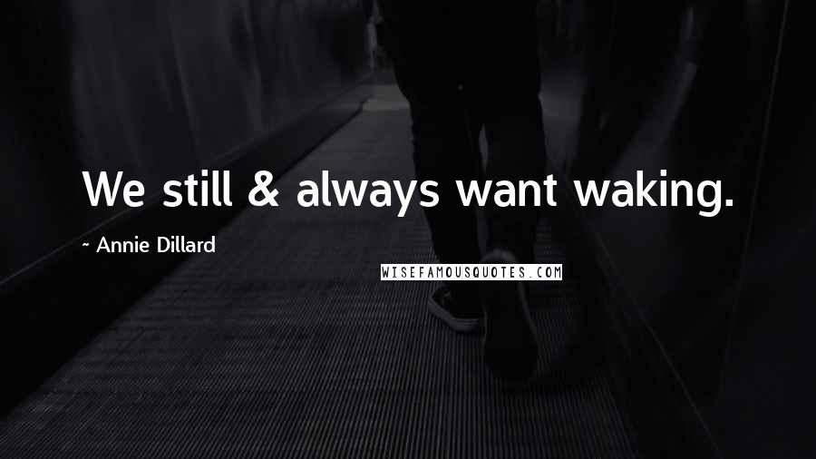 Annie Dillard Quotes: We still & always want waking.