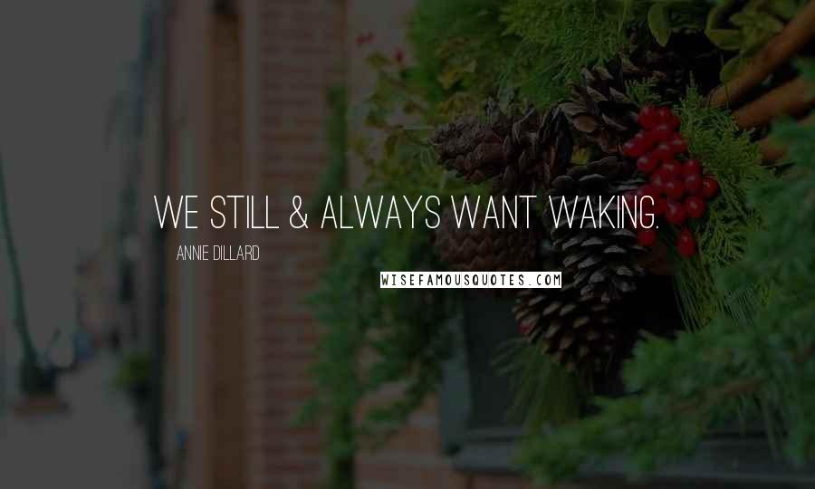 Annie Dillard Quotes: We still & always want waking.
