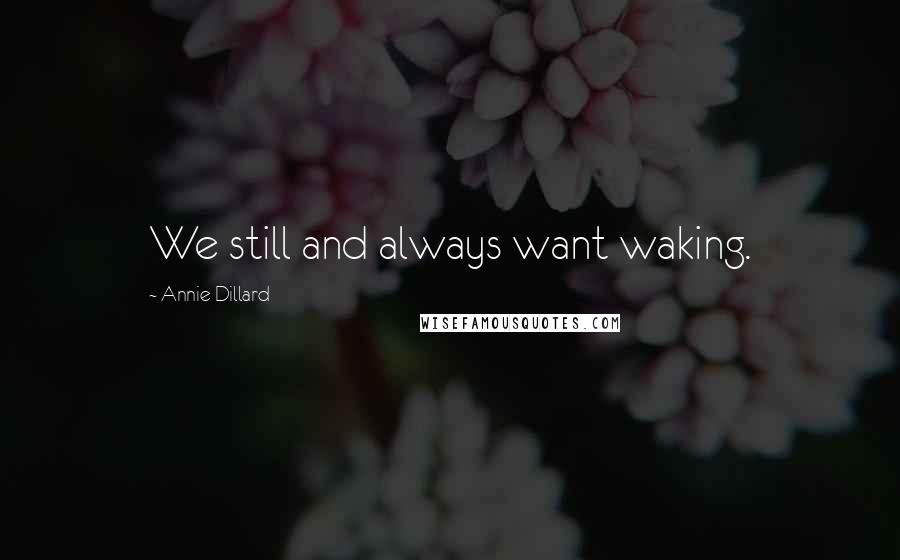 Annie Dillard Quotes: We still and always want waking.