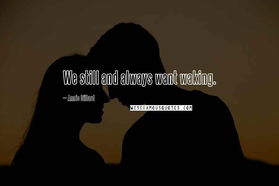 Annie Dillard Quotes: We still and always want waking.