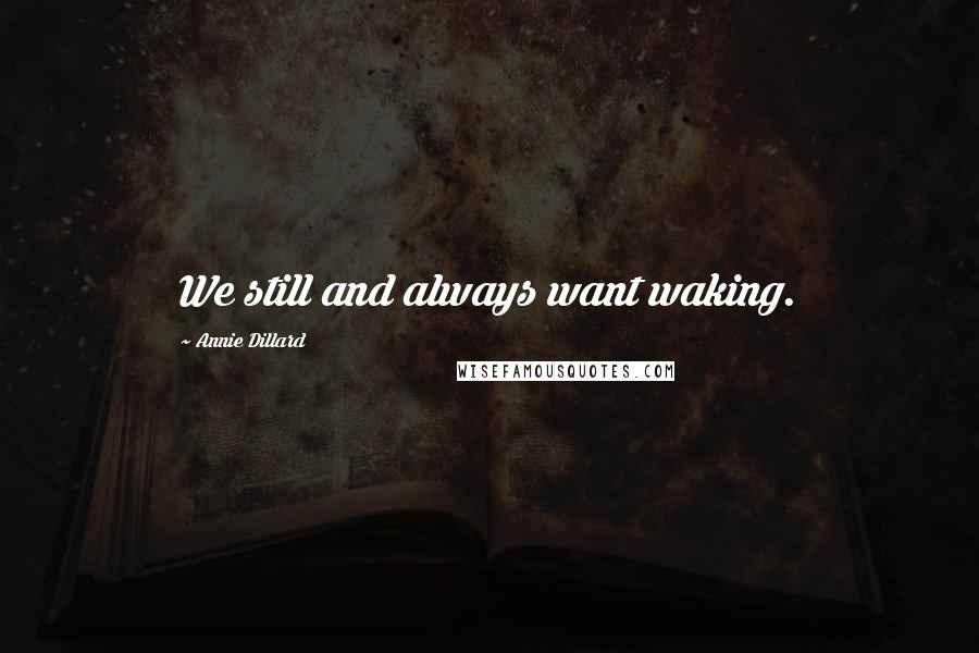 Annie Dillard Quotes: We still and always want waking.