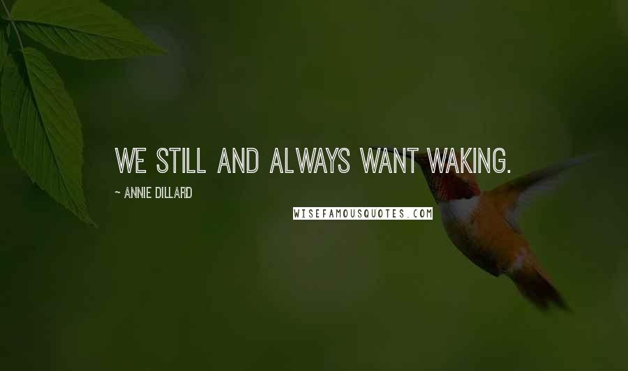 Annie Dillard Quotes: We still and always want waking.