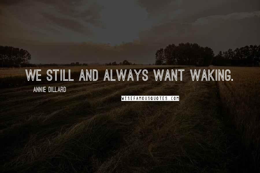 Annie Dillard Quotes: We still and always want waking.