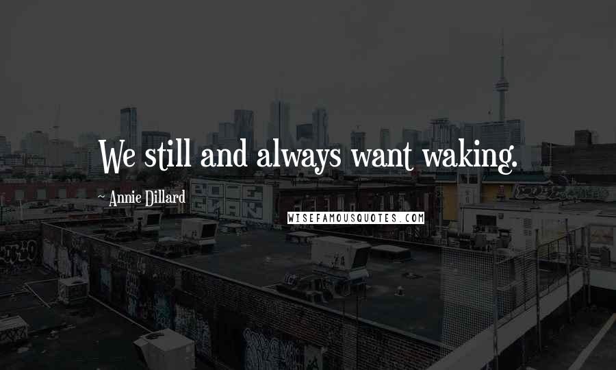 Annie Dillard Quotes: We still and always want waking.