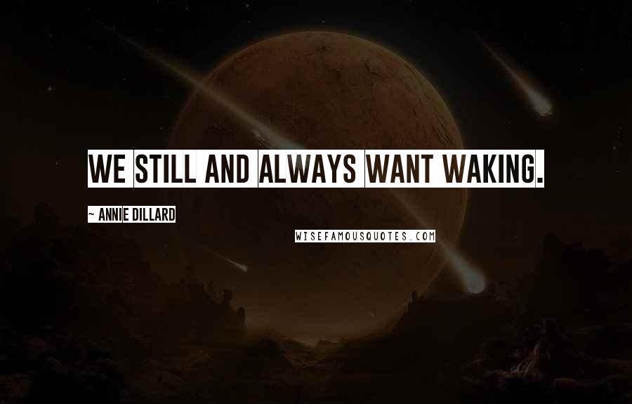 Annie Dillard Quotes: We still and always want waking.