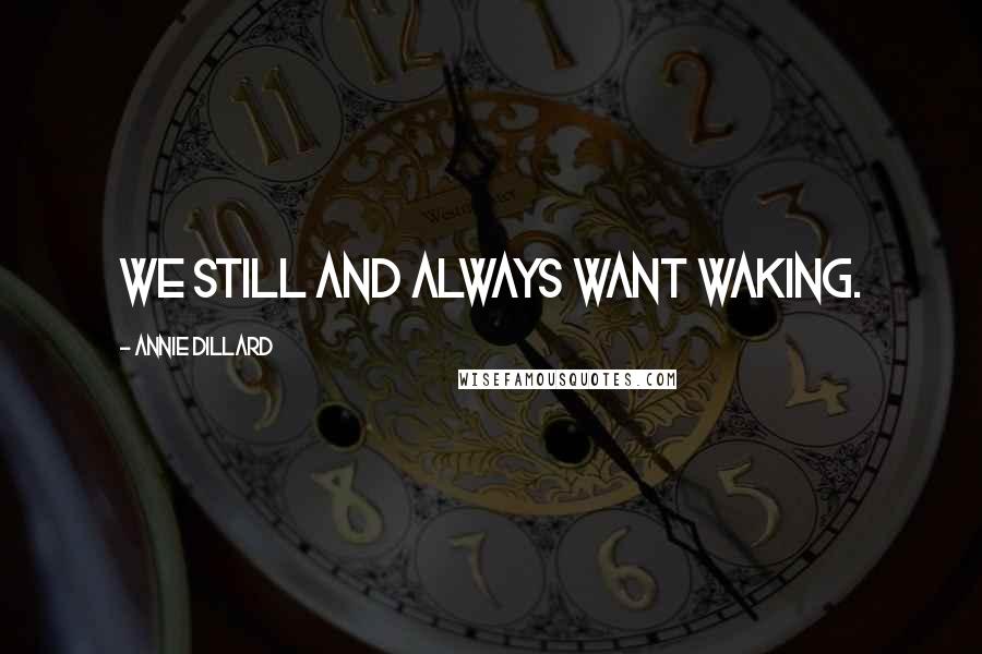 Annie Dillard Quotes: We still and always want waking.