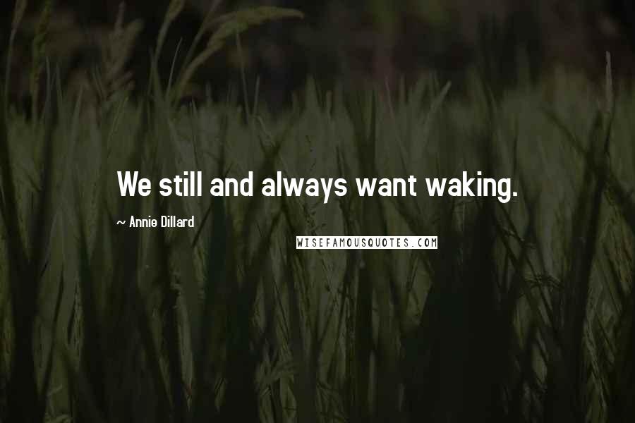 Annie Dillard Quotes: We still and always want waking.