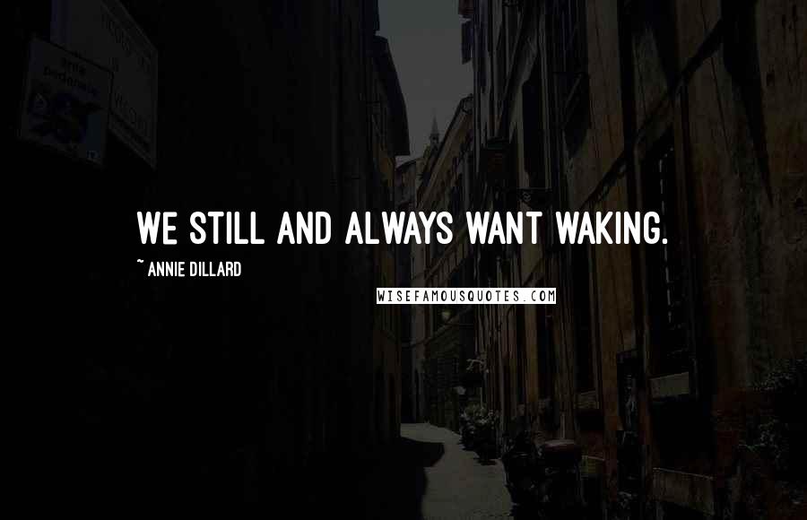 Annie Dillard Quotes: We still and always want waking.