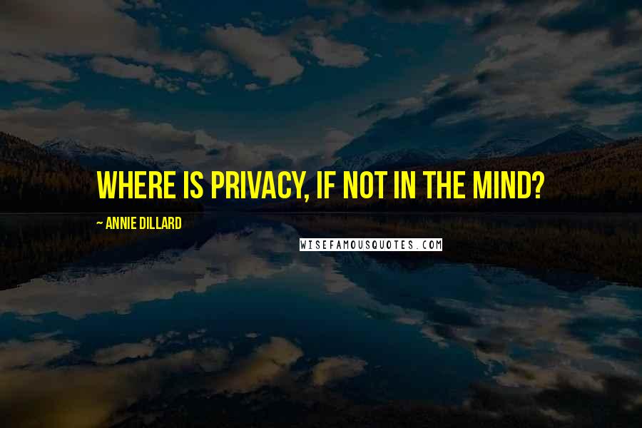 Annie Dillard Quotes: Where is privacy, if not in the mind?