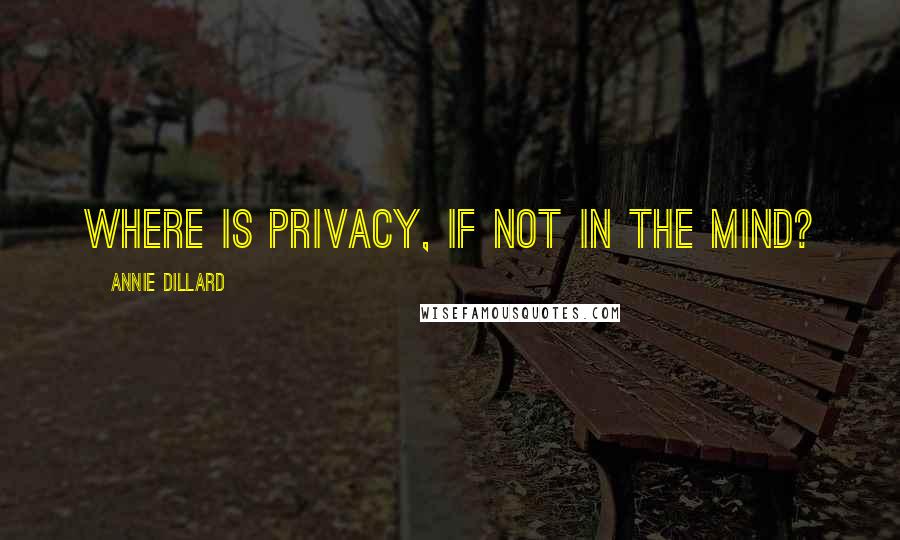 Annie Dillard Quotes: Where is privacy, if not in the mind?