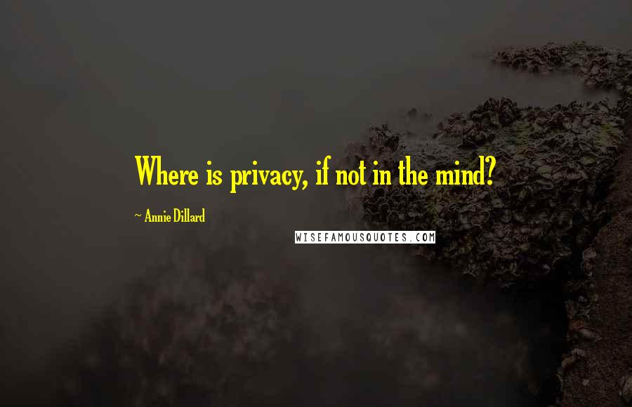 Annie Dillard Quotes: Where is privacy, if not in the mind?
