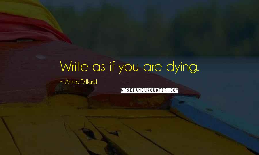 Annie Dillard Quotes: Write as if you are dying.