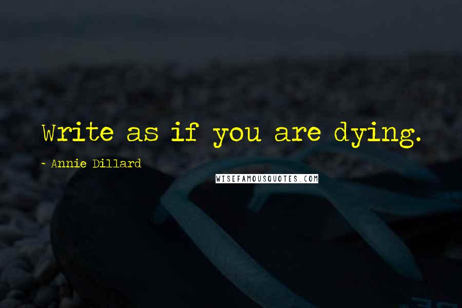 Annie Dillard Quotes: Write as if you are dying.