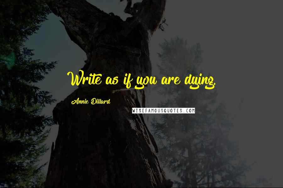 Annie Dillard Quotes: Write as if you are dying.