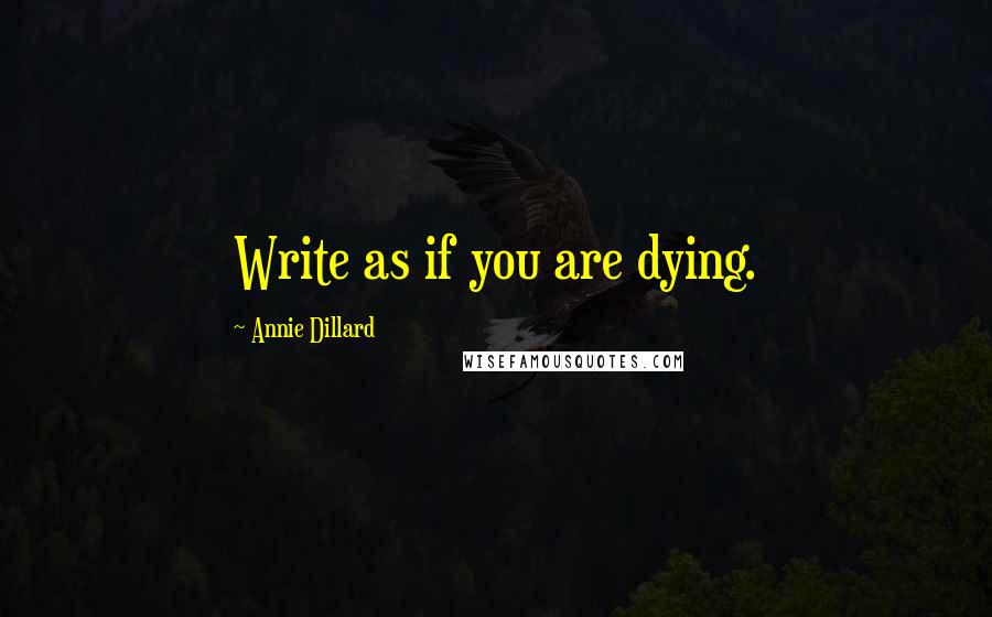 Annie Dillard Quotes: Write as if you are dying.