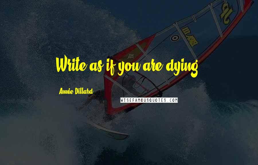 Annie Dillard Quotes: Write as if you are dying.