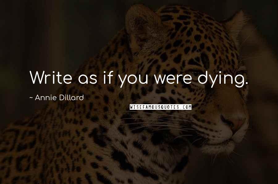 Annie Dillard Quotes: Write as if you were dying.