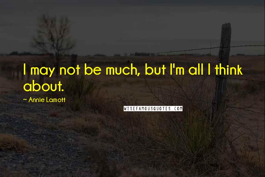 Annie Lamott Quotes: I may not be much, but I'm all I think about.