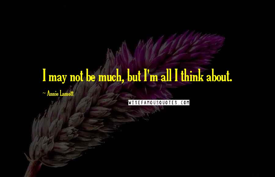 Annie Lamott Quotes: I may not be much, but I'm all I think about.