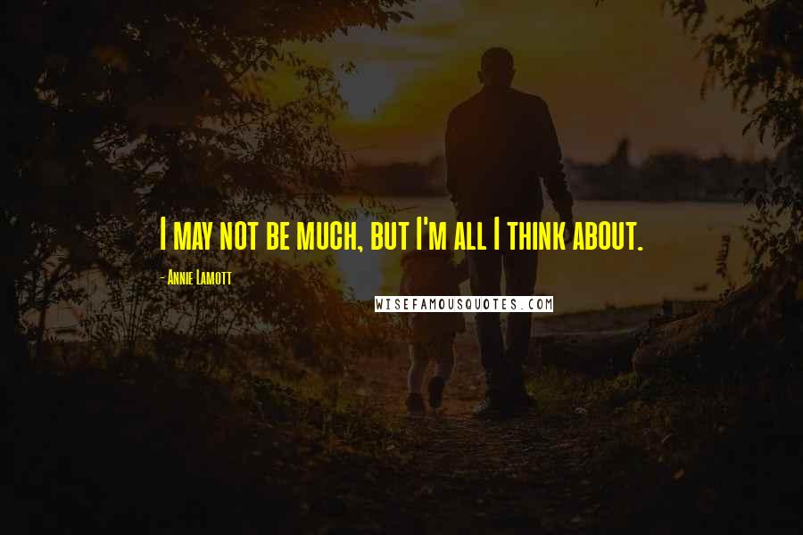 Annie Lamott Quotes: I may not be much, but I'm all I think about.