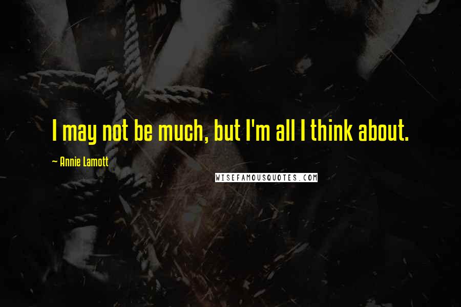 Annie Lamott Quotes: I may not be much, but I'm all I think about.