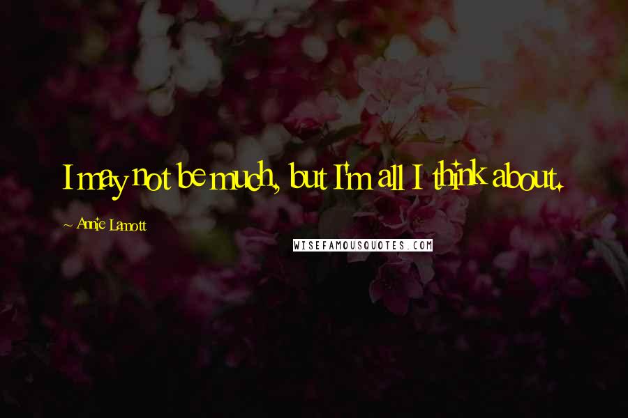 Annie Lamott Quotes: I may not be much, but I'm all I think about.