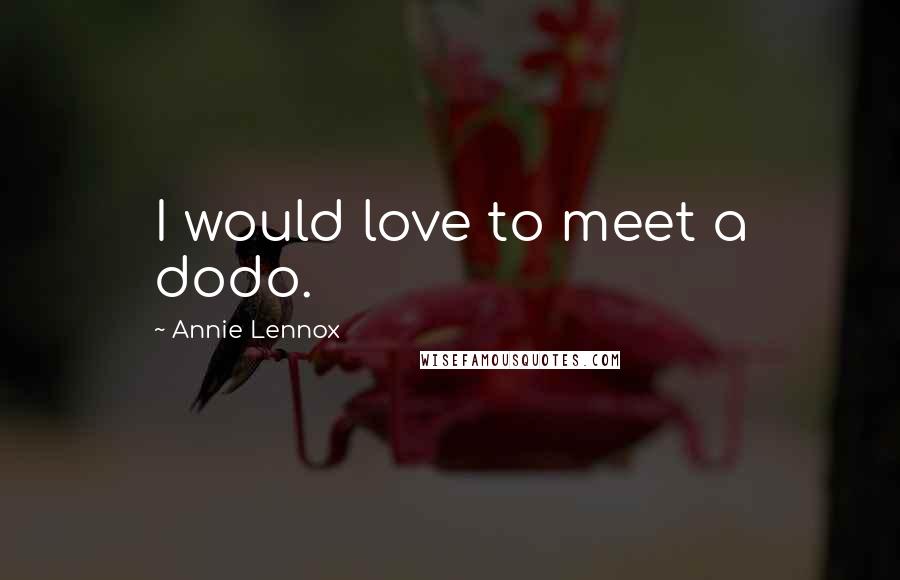Annie Lennox Quotes: I would love to meet a dodo.